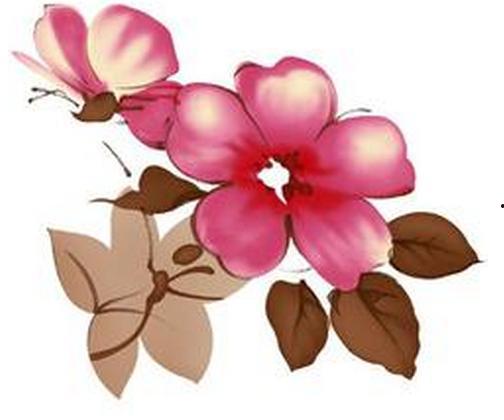 花朵变成人如何画图片视频,创意插画与动画制作过程揭秘