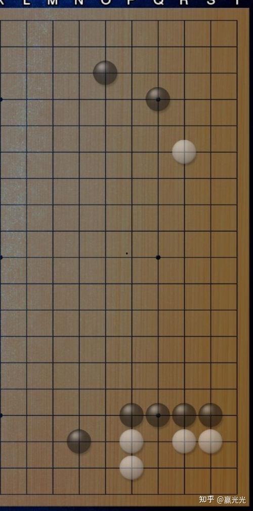 围棋成人能自学吗视频,成人如何通过视频掌握围棋智慧