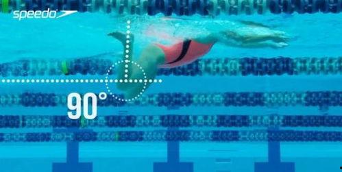 成人学蛙泳动作视频