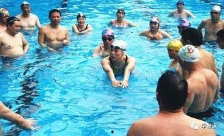 游泳课成人班视频,成人游泳课精彩瞬间回顾