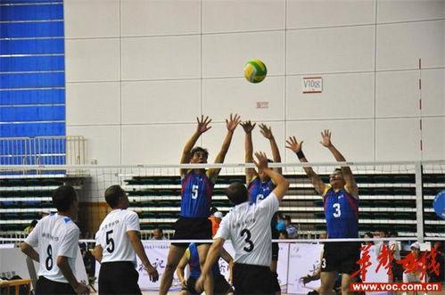 成人气排球怎么打的视频