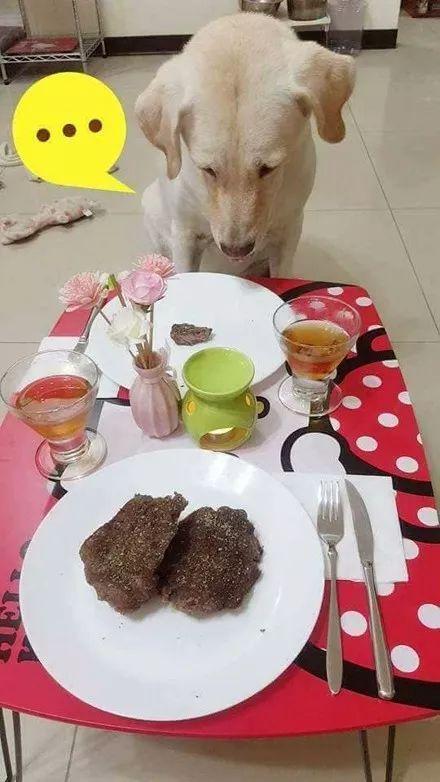 狗变成人吃牛排视频,品尝美味牛排的奇幻之旅